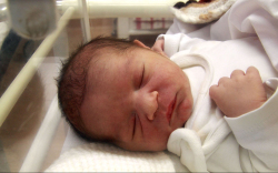 Karimi Navid, Dunakiliti