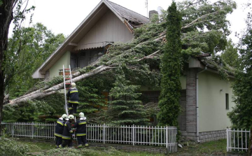  Több mint ötven káresemény történt az erős szél miatt