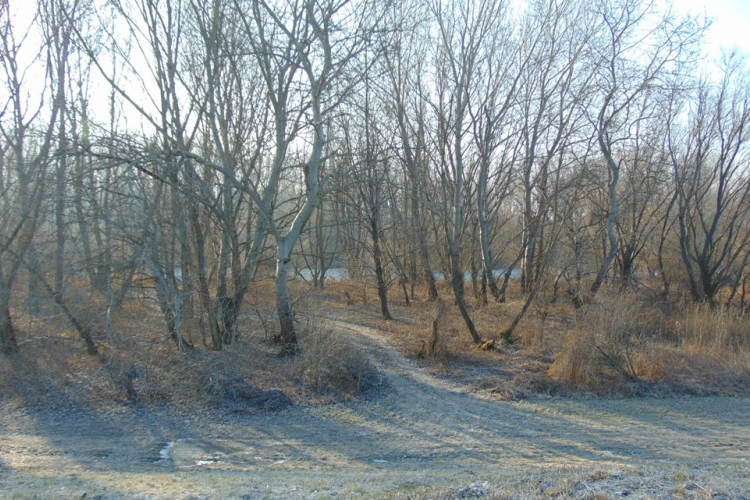 Szigetköz, ahol a természet mosolyog...