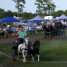 10.  Sajtos-Réti fogathajtó verseny 