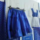 Megyei Nemzetiségi Nap és Megyei Értéknap