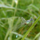 Tilai Gergely online fotókiállítása - díjnyertes képekkel