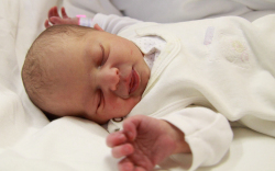 Limp Boglárka, Lébény