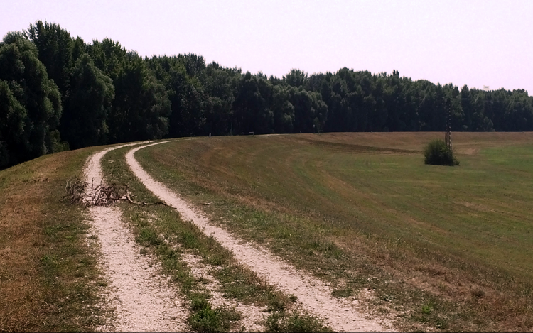 Mit szabad és hogyan az árvízvédelmi töltéseken?
