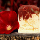 Clematis Szappan Szalon