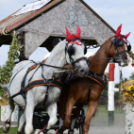 10.  Sajtos-Réti fogathajtó verseny 