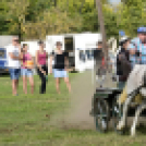 10.  Sajtos-Réti fogathajtó verseny 