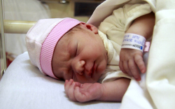 Tóth Rozina, Mosonmagyaróvár