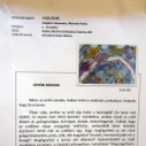 Ártéri erdeink rajzpályázat – eredményhirdetés és kiállítás sok meglepetéssel