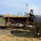 10.  Sajtos-Réti fogathajtó verseny 