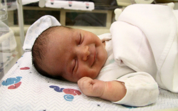 Vincze Zétény, Mosonmagyaróvár