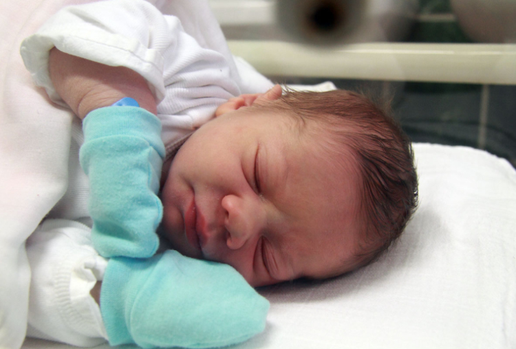 Kovarek Zádor, Dunasziget