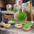 I. Szigetközi Vásár