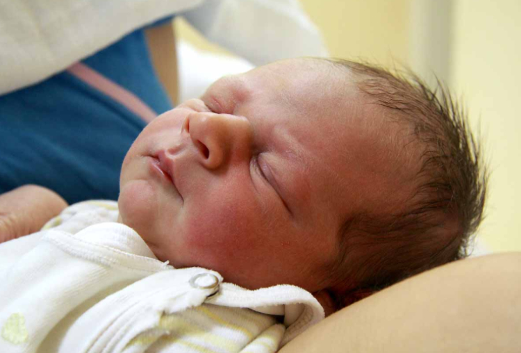 Horváth Noel, Mosonmagyaróvár