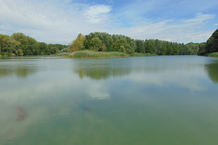 Vakáció az ásványrárói ártérben