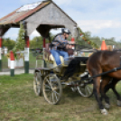 10.  Sajtos-Réti fogathajtó verseny 