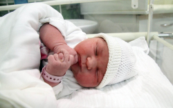 Csendes Nádja, Hegyeshalom