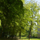 Így szeretünk, Máriakálnok