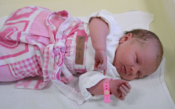 Buza Boróka, Jánossomorja