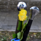 10. Jubileumi Szent Jakab zarándoklat Lébényben 