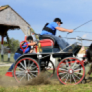 10.  Sajtos-Réti fogathajtó verseny 