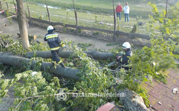 Tegnap a viharos szél adott munkát a tűzoltóknak