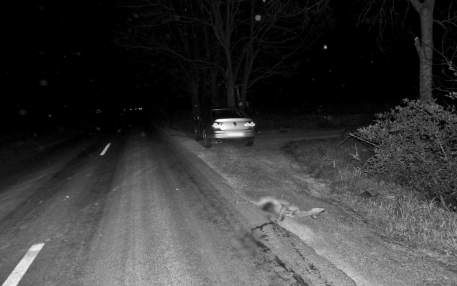 A vadbalesetek elkerülésére hívja fel a figyelmet a rendőrség