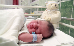 Felber Dániel, Halászi