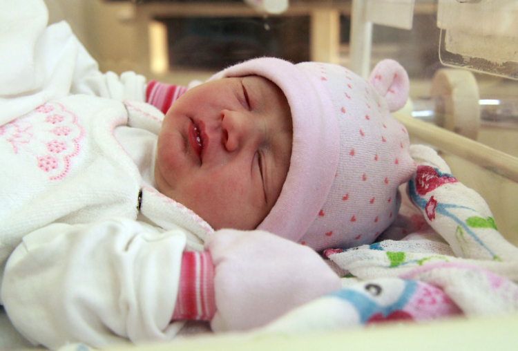 Ádám Hanna, Mosonmagyaróvár