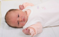 Bodrogi Hanna, Csorna