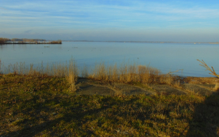 A víztározó madarász szemmel (Kalandozások a Szigetközben 1. rész)