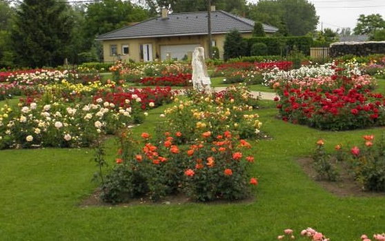 Üdvözlet Máriakálnokról