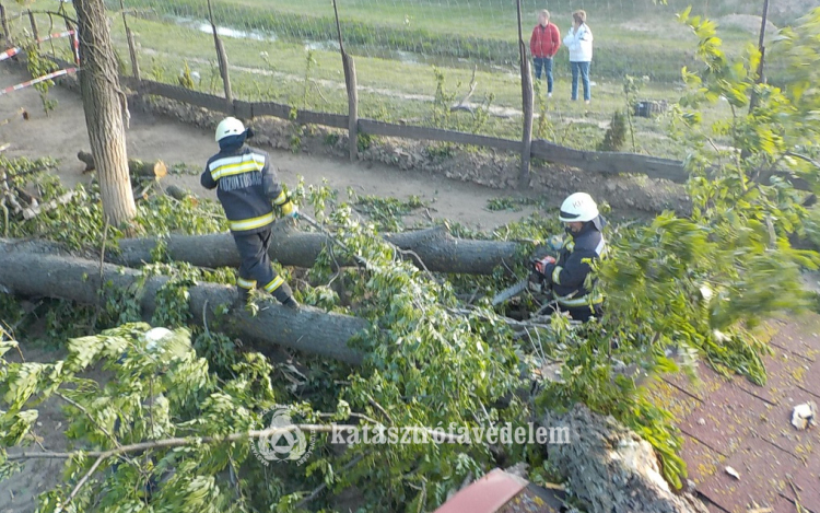 Tegnap a viharos szél adott munkát a tűzoltóknak