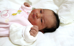 Németh Maja, Bősárkány