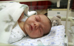 Földes Marcell István, Mosonmagyaróvár