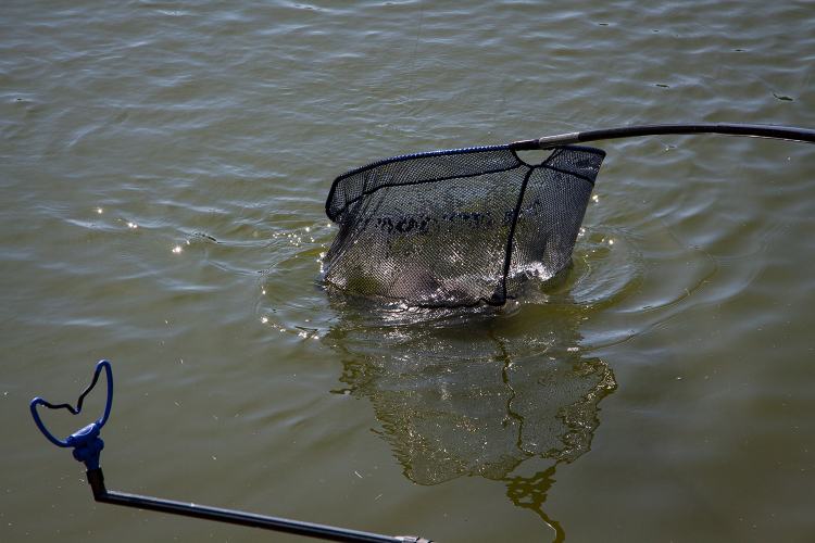 Jótékonysági horgászverseny a mosonmagyaróvári Hospice házért