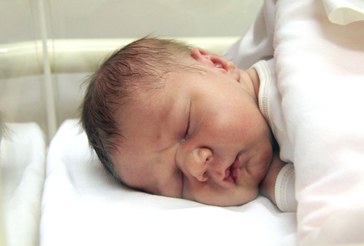 Molnár Ármin Zalán, Mosonmagyaróvár