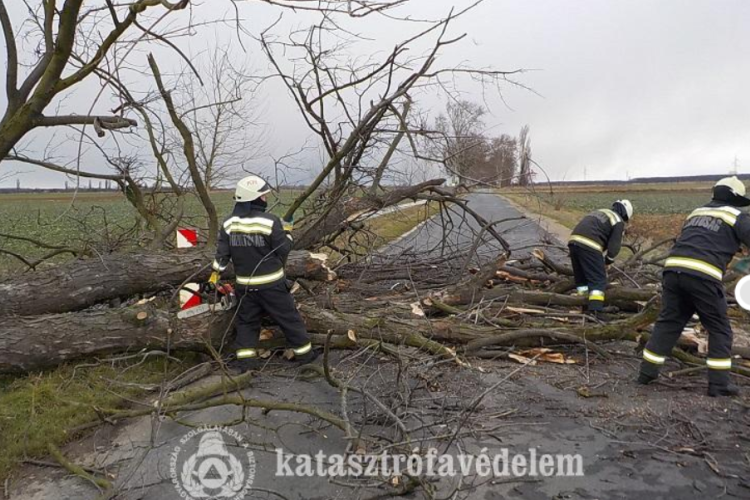  A viharos szél a tűzoltóknak is adott munkát Győr-Moson-Sopron megyében 