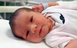 Tuba Petra, Mosonmagyaróvár