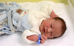 Kovács Milán József, Mosonmagyaróvár