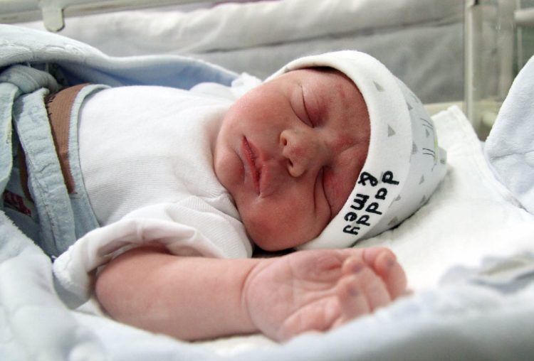 Petrekovits Lénárd, Mosonmagyaróvár