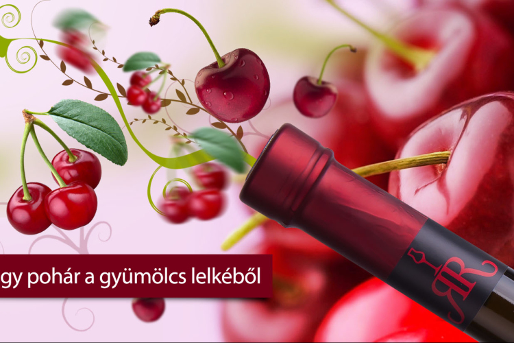 Kinyitja kapuit a nagyközönség előtt a pálinkafőzde