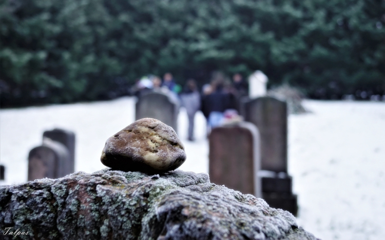 A Holokauszt áldozataira emlékeztek Darnózselin