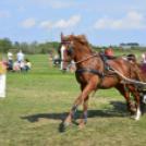 10.  Sajtos-Réti fogathajtó verseny 