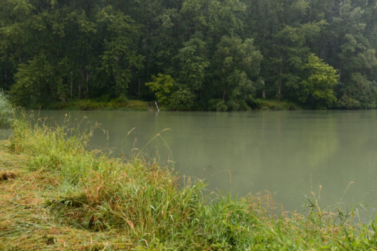 Felső-Dunai mellékág-rendszerek árvízvédelme és vízpótlása I. ütem / projektnyitó rendezvény / 