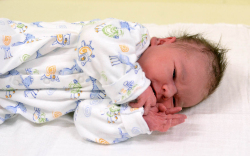 Tóth Levente Tamás, Mosonmagyaróvár