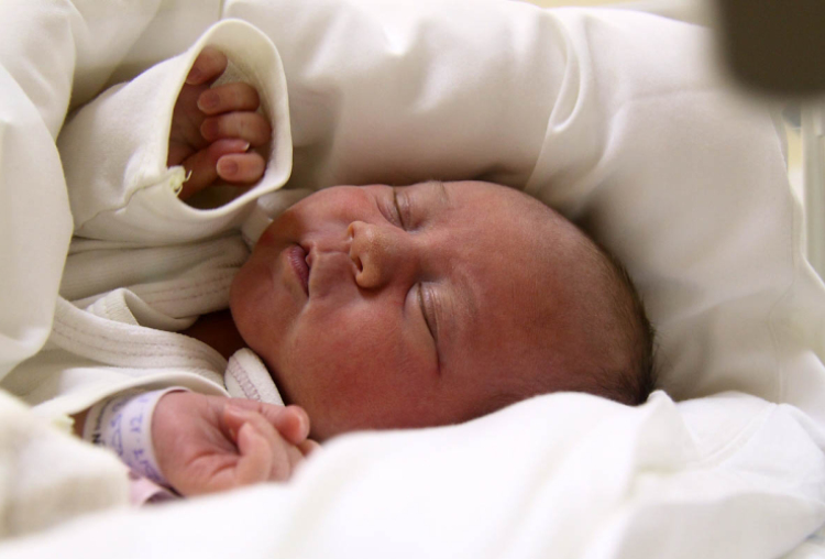 Sörös Boglárka, Máriakálnok