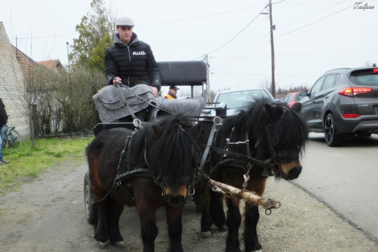 I. Szigetközi Vásár