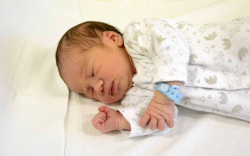 Ábrahám Árlen, Mosonmagyaróvár