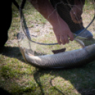 Jótékonysági horgászverseny a mosonmagyaróvári Hospice házért